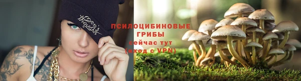 соль курить ск Няндома