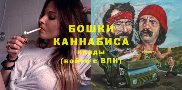 метадон Новодвинск