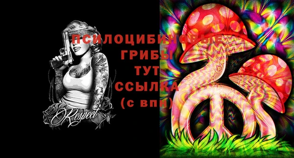 метадон Новодвинск